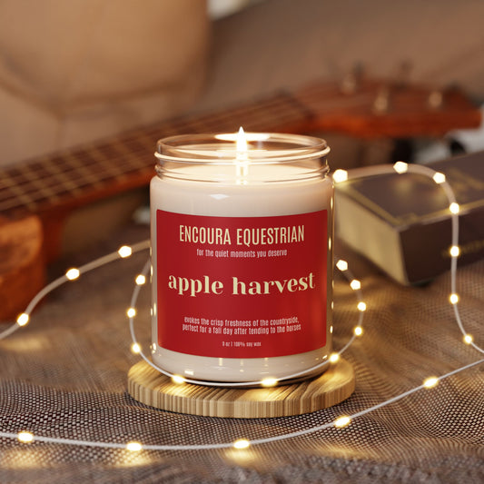 APPLE HARVEST SOY CANDLE